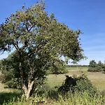 Im Spreewald * Markische Heide