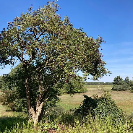 펜션 Im Spreewald Markische Heide
