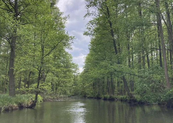 Dom wakacyjny Im Spreewald