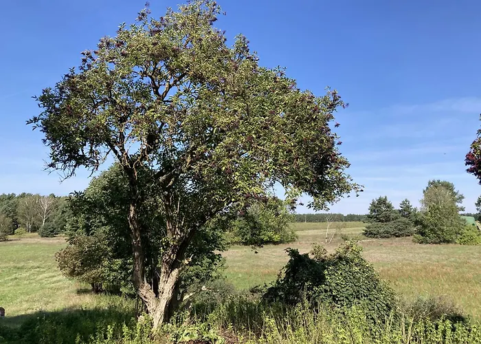 Im Spreewald * Markische Heide